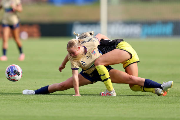 我们已经看 我们已经看